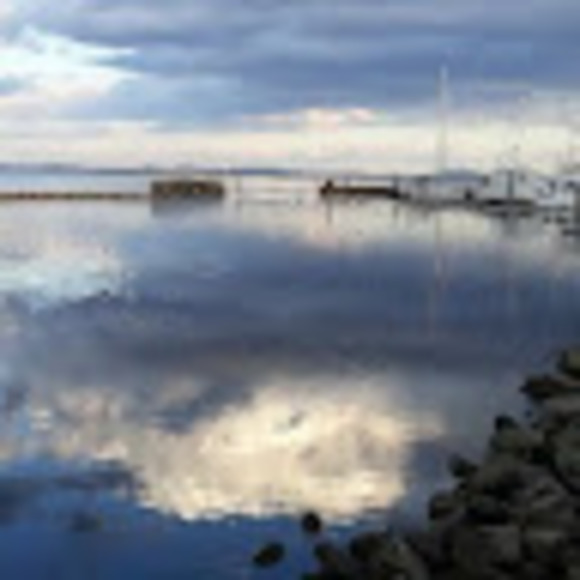 Meet your Posher, Luzy - Picture 1 of 1